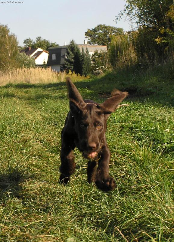 Foto: Orina